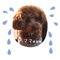yumu_20191114190229