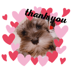 akiko_20191114210216