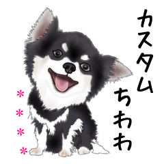 Black Chihuahua custom sticker(Taiwan)