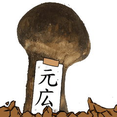 松茸研究家元広さんのマツタケ