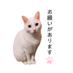 yama_20191114223635