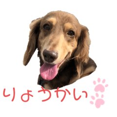 RYOTA_20191114225437