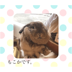 moco_20191114235013