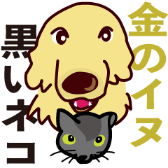 Golden dog and Black cat3