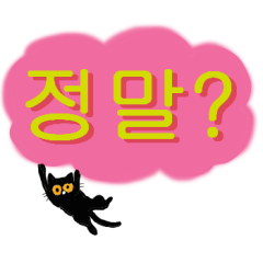 Black cat and Korean