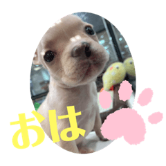 yun_20191115062939