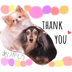 sasa_20191114141000