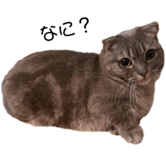 EVE_20191115115848