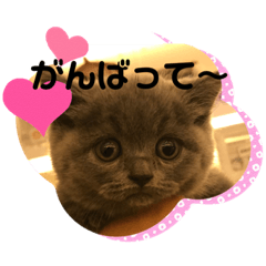 EVE_20191115125805
