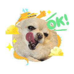 Asako_20191115015751
