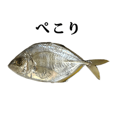 sakana A fish 2