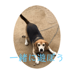 Kaito_20191115184015