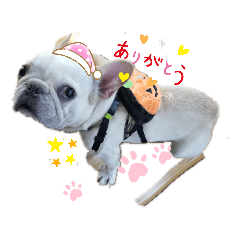 chiyo_20191115174528