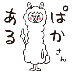 Easy to use daily life for Alpaca San
