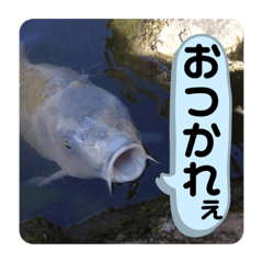 Yama_Weird_Stuff