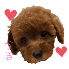 Hana_20191115200003