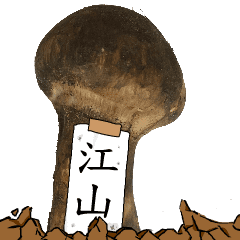 松茸研究家江山さんのマツタケ