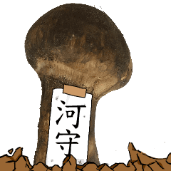 松茸研究家河守さんのマツタケ