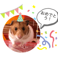 Minami_20191115212831