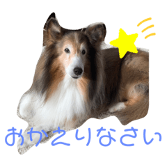 jun_20191115205105