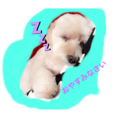 honey_20191115214515