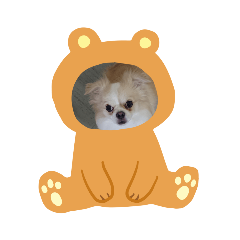 Hana_20191115223121
