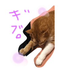 pyon_20191115152313
