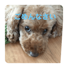 moco_20191115233603