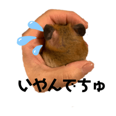 mami0122_20191116010147