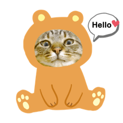 maya_20191116085638
