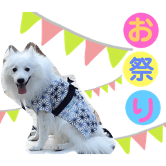 tetsu_20191116120359