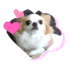 Asako_20191116125004