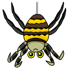 pop&colorful spiders