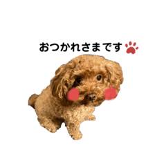 Chan_20191116133838