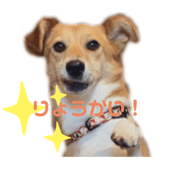 yukiko_20191116110647