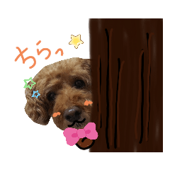 bearbear_20191115224340