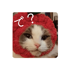 ♡Noelのすたんぷ♡