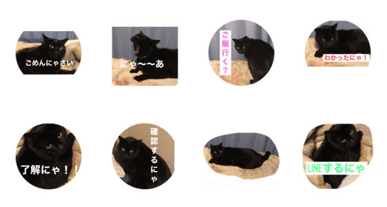 黒猫ふくくんの日常 パート2 Lineクリエイターズスタンプ Stamplist