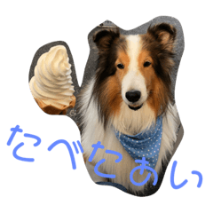 jun_20191115193400