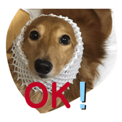 matsu_20191115121952