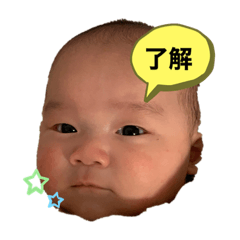 chiyo_20191116155919