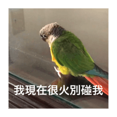 Lin_Nori