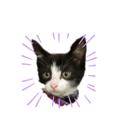 monaka_20191116130700