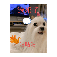 超級巨星Alice