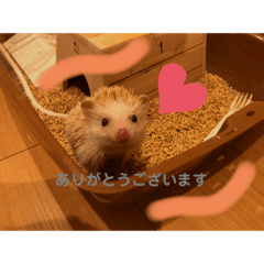 saya_20191116191150