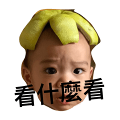 屎龜