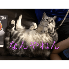 hide_20191116200957