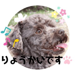 Li_20191116223843