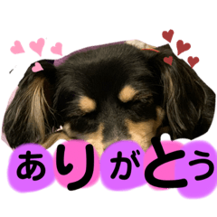 chiyo_20191117000705