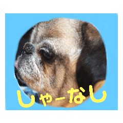 kaho_20191116224619